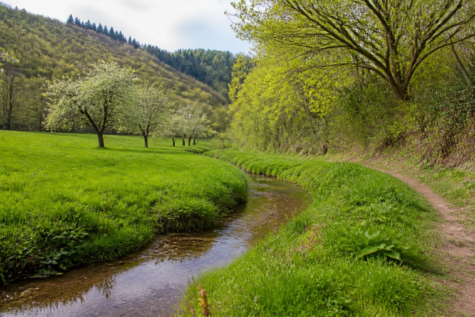 Halberger Bach bei Bödingen