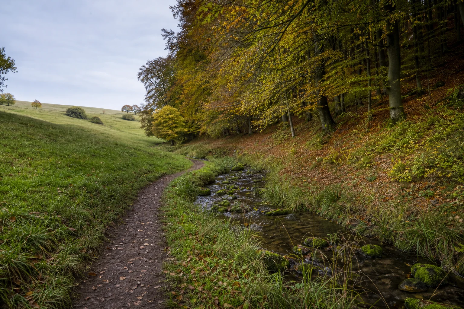 Borchen: Wanderweg im Altenautal bei Borchen