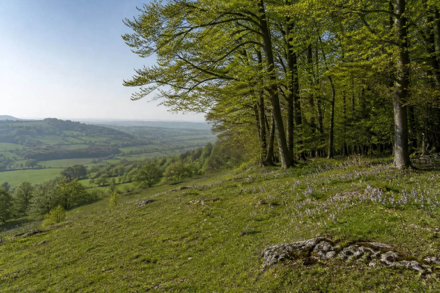 Borgentreich: Muschelkalklandschaft beim Wandern in Borgentreich
