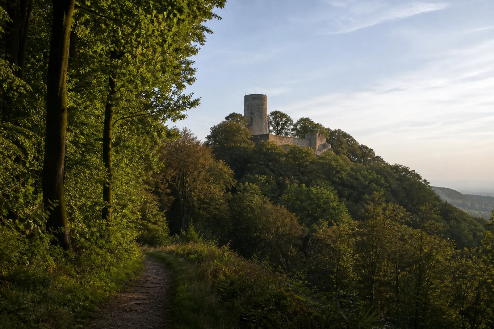 Borgholzhausen: Burg Ravensberg mit rundem Sandsteinturm im Buchenwald