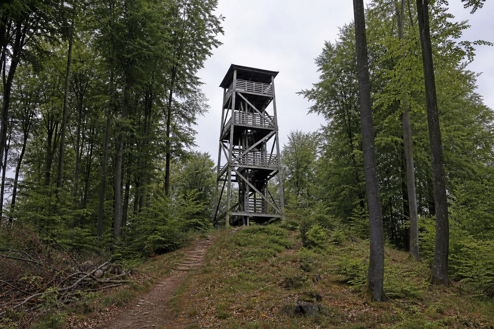 Hölzerner Luisenturm auf der Johannisegge