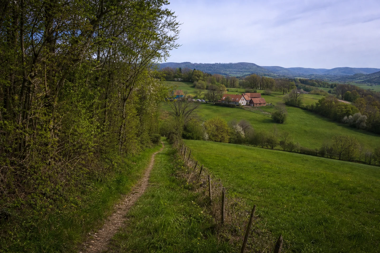 Felder und Waldkuppen im Ravensberger Hügelland