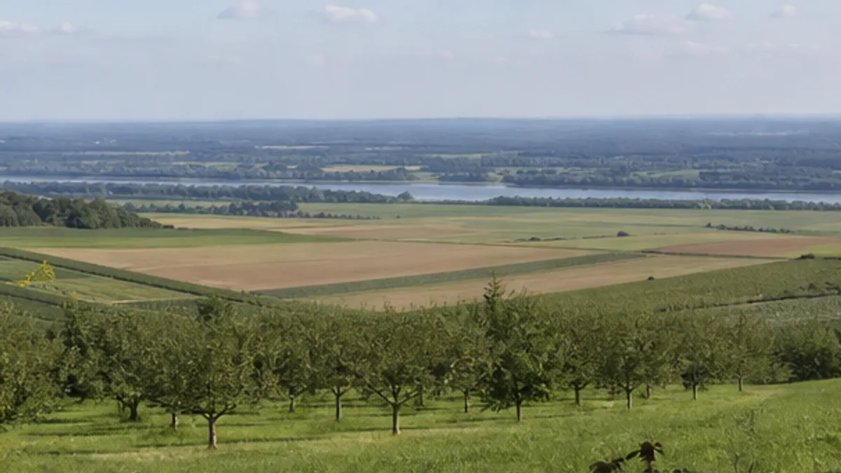 Bornheim: Obstlandschaft am Bornheimer Vorgebirge