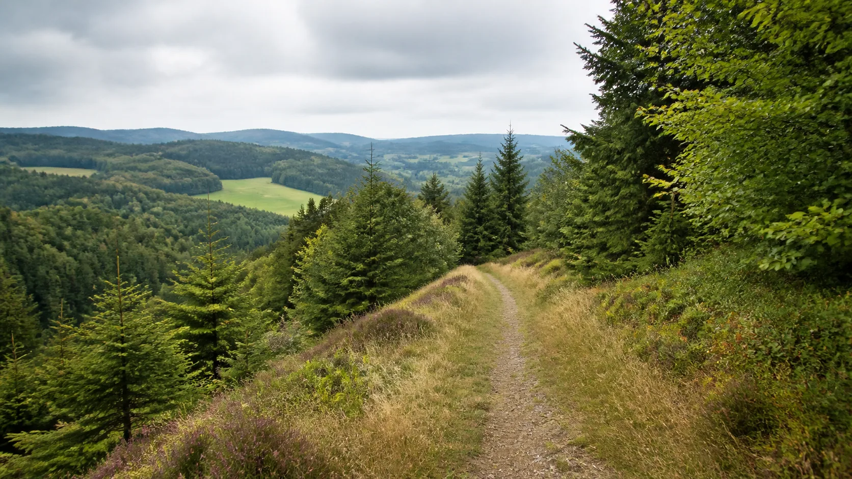 Wiesenweg am Hülsenberg
