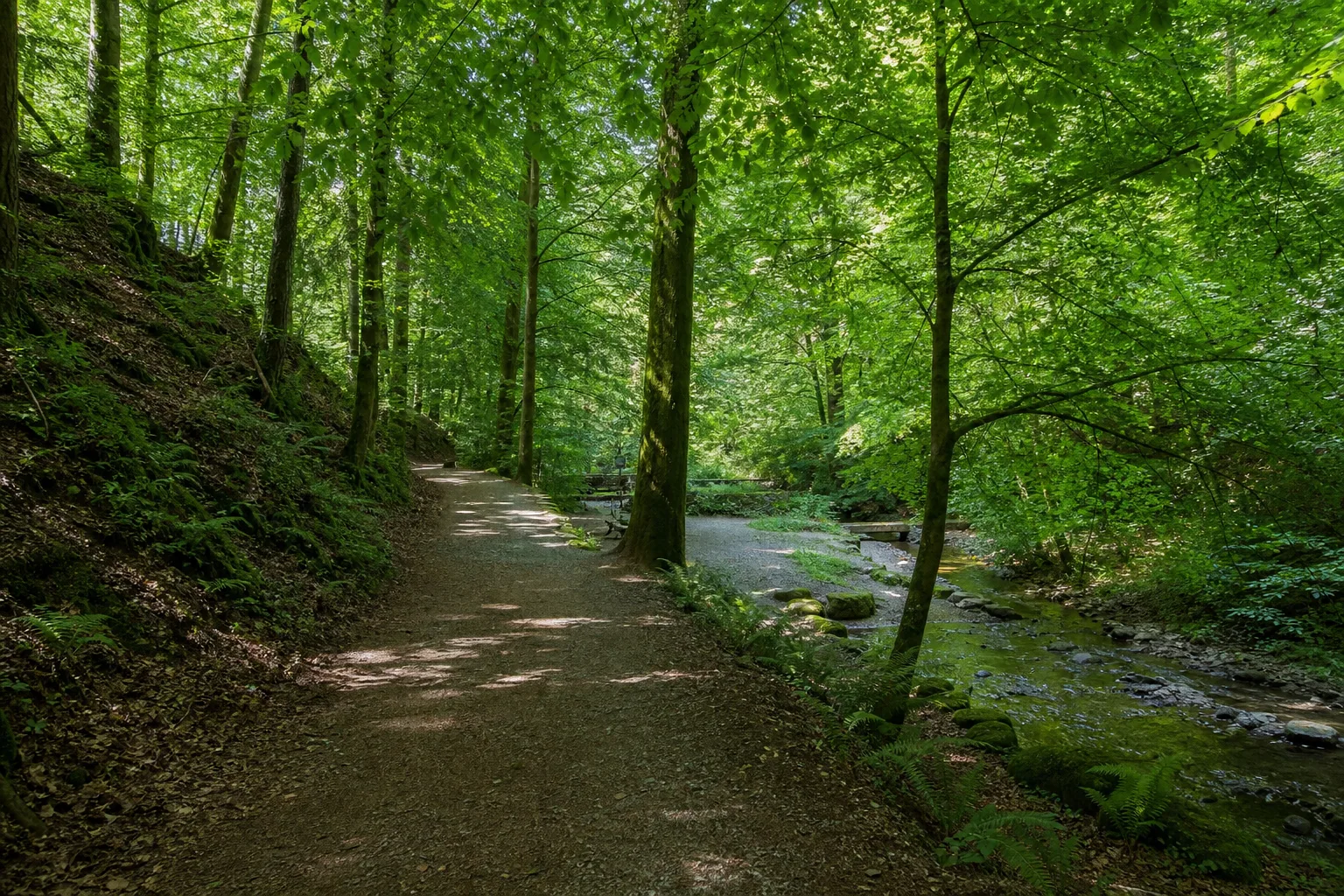 Park- und Waldweg am Kaiserbrunnen bei Brakel