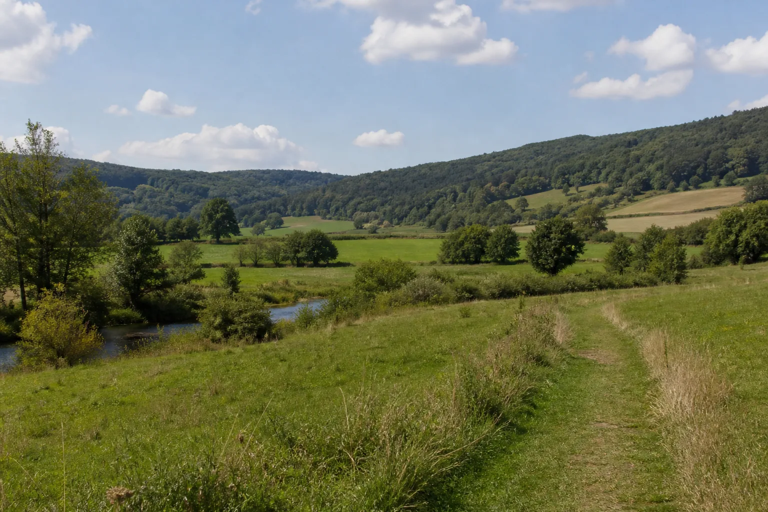 Wiesen- und Feldweg im Nethetal bei Rheder