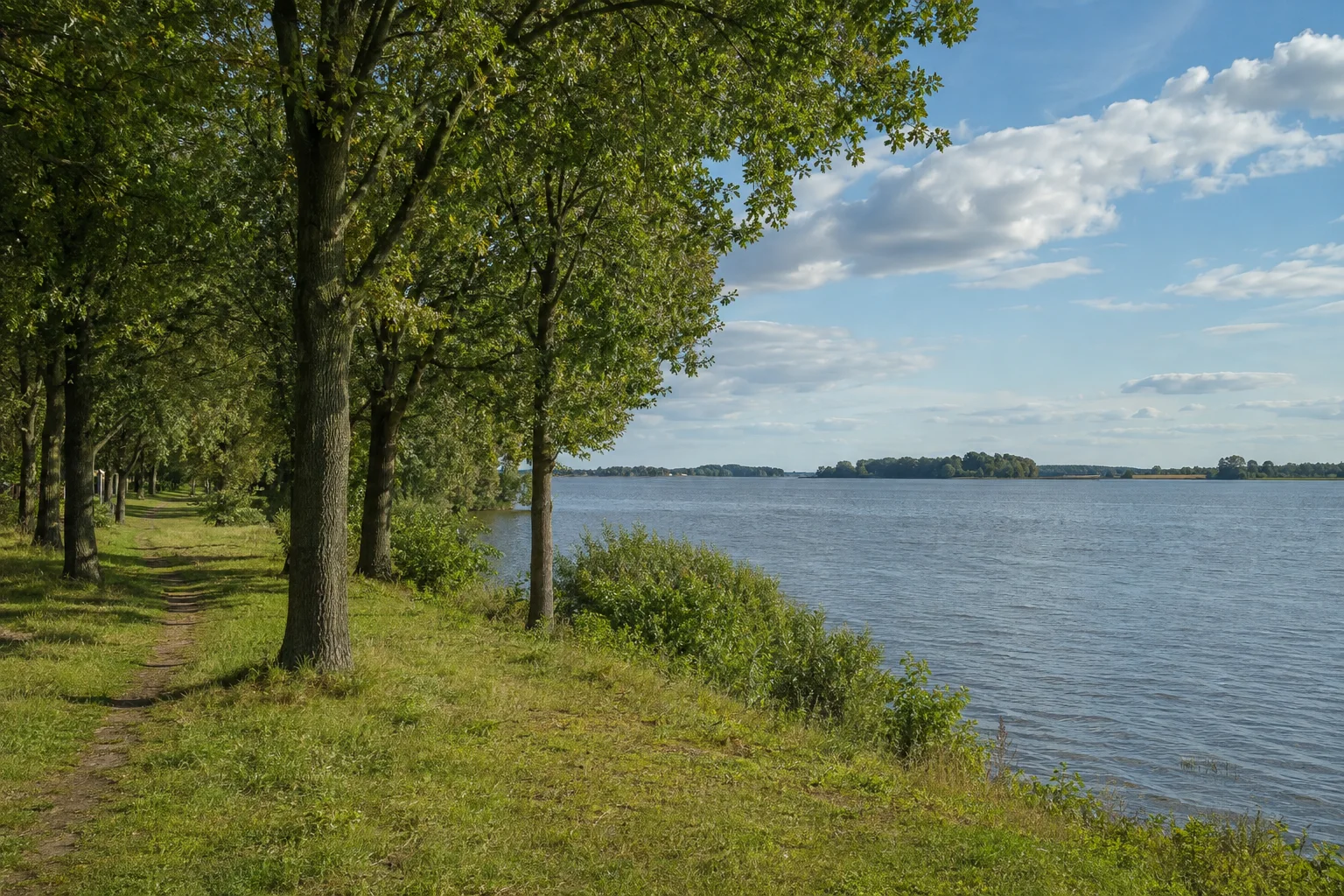 Plauer Uferpark: alter Laubbaumbestand und Rasenweg mit Blick über einen breiten flachen See
