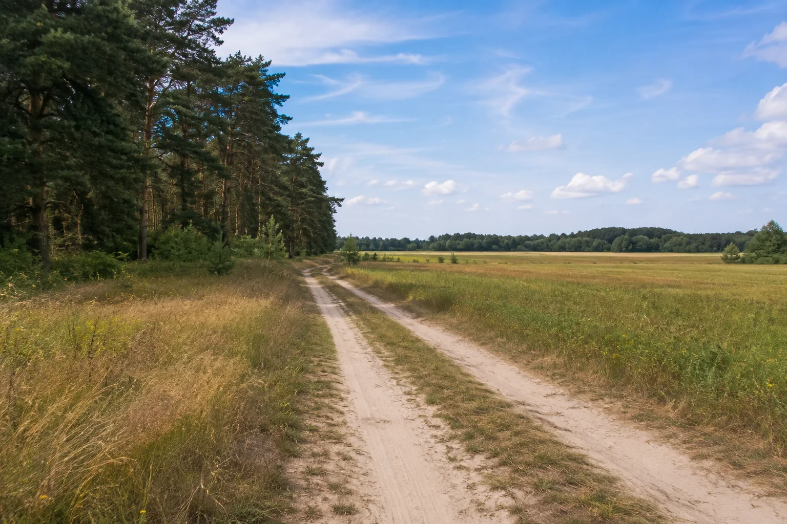 Göttiner Feldlandschaft: sandiger Weg zwischen ebenen Wiesen, Feldern und Kiefernwald südlich von Brandenburg