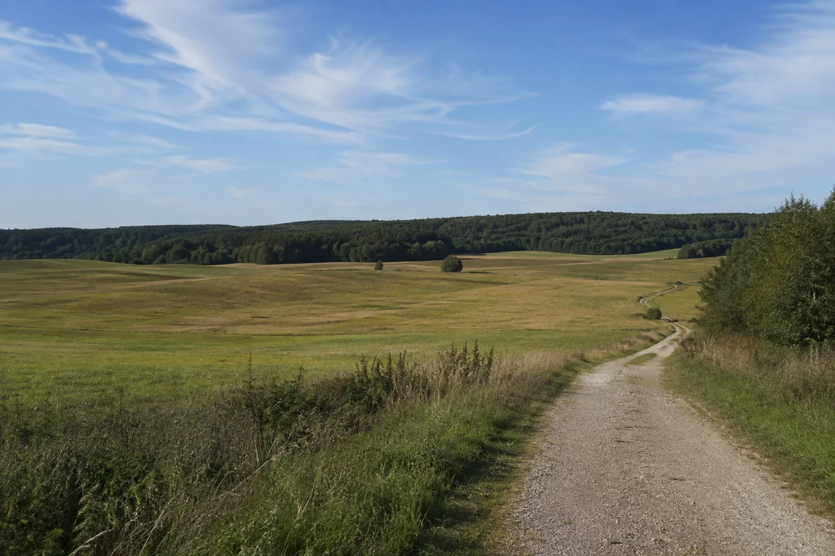 Polenz: sanft wellige Feldflur vor dunklem Planitzwald, heller Feldweg