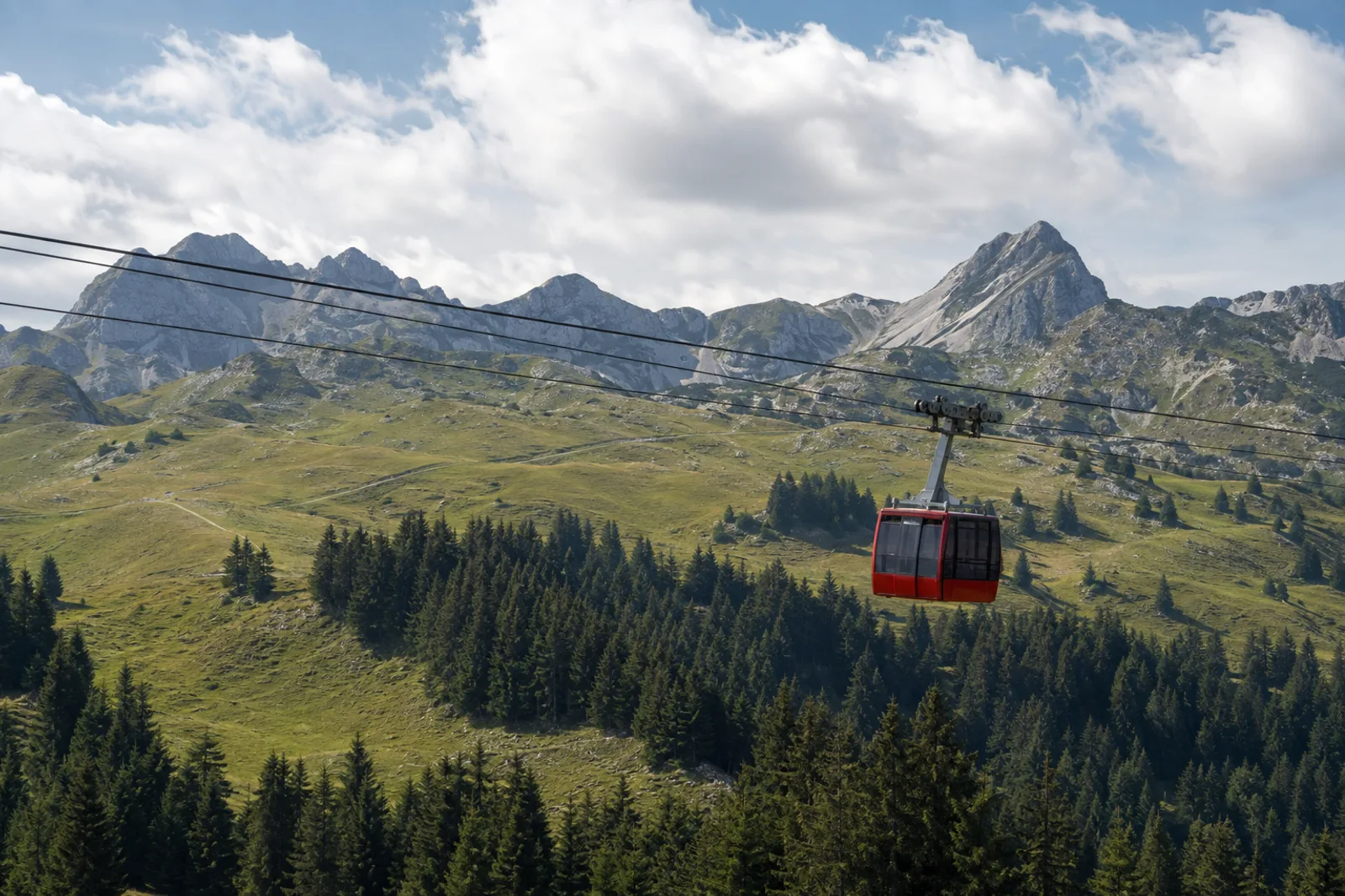 Brauneckbahn: Kabine über Almwiesen und Bergwald
