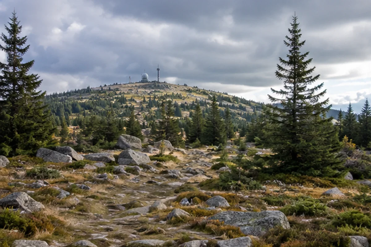 Braunlage: Wanderweg am Wurmberg bei Braunlage