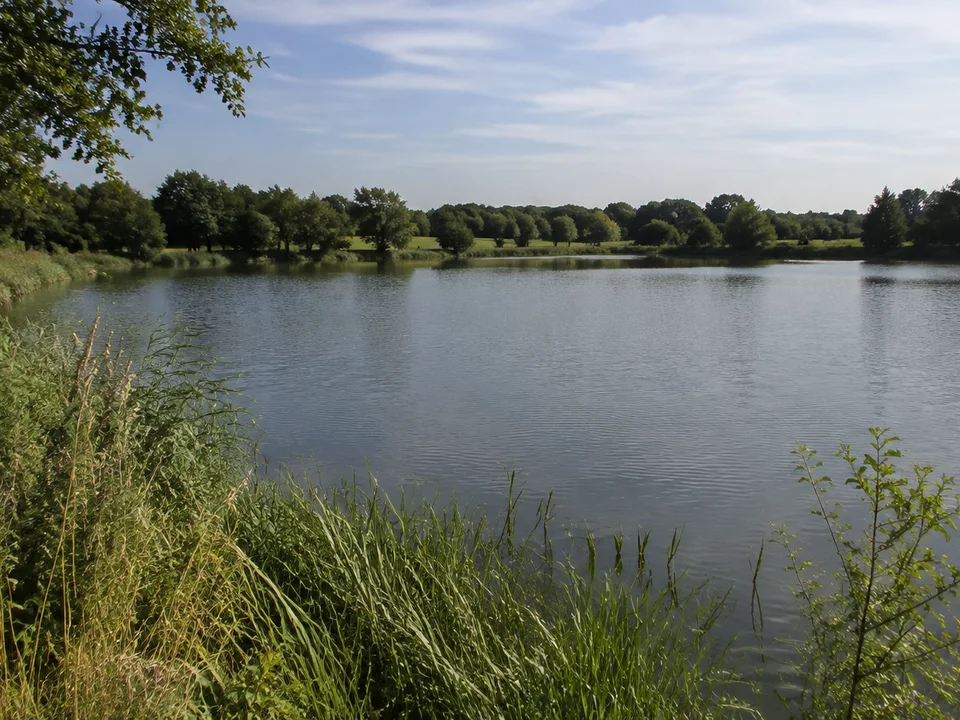 Offene Okerwiesen am Braunschweiger Südsee mit ruhigem Wasser und flachem baumbestandenem Horizont