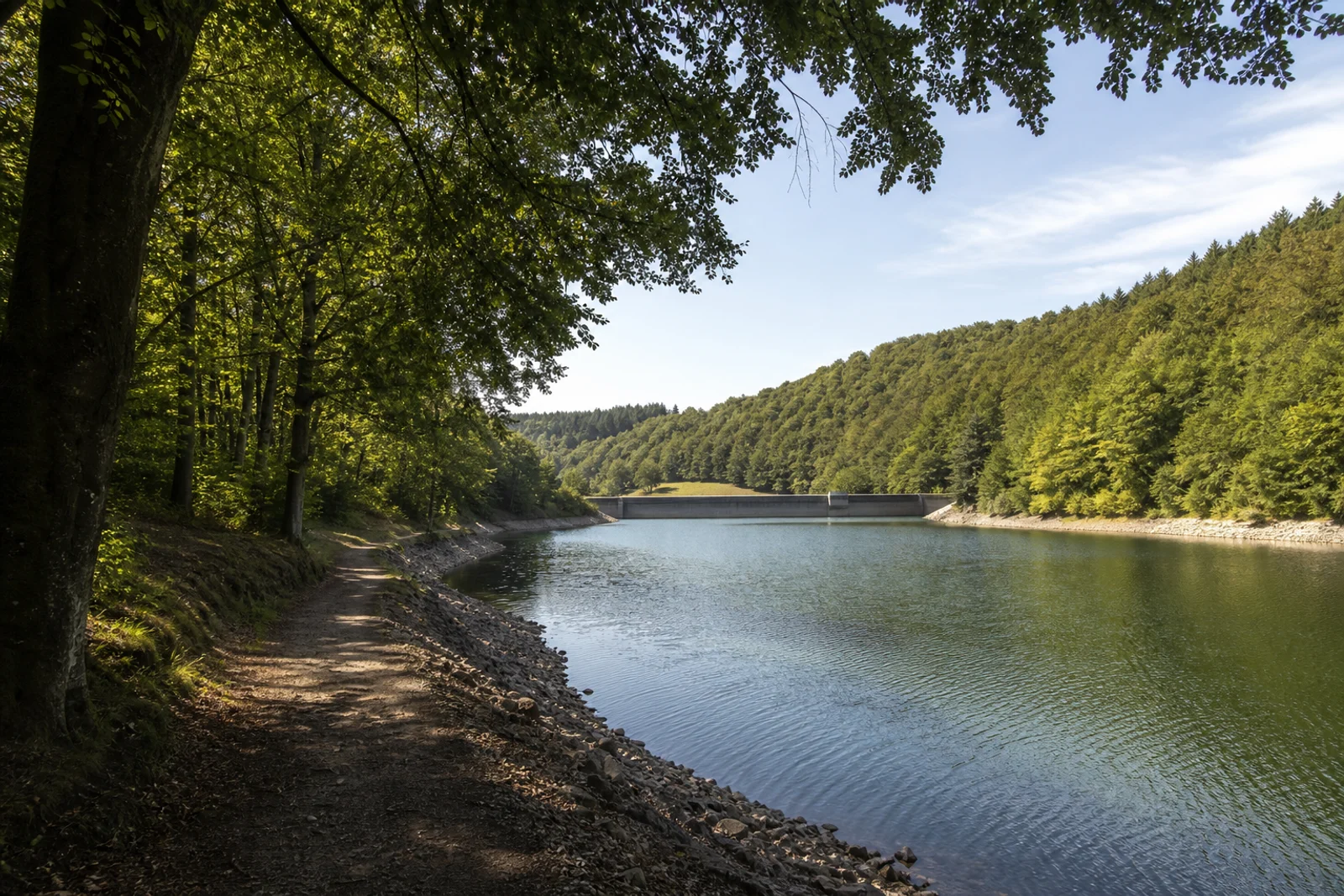 Breckerfeld: Glörtalsperre mit klarem Wasser in dichtem Wald