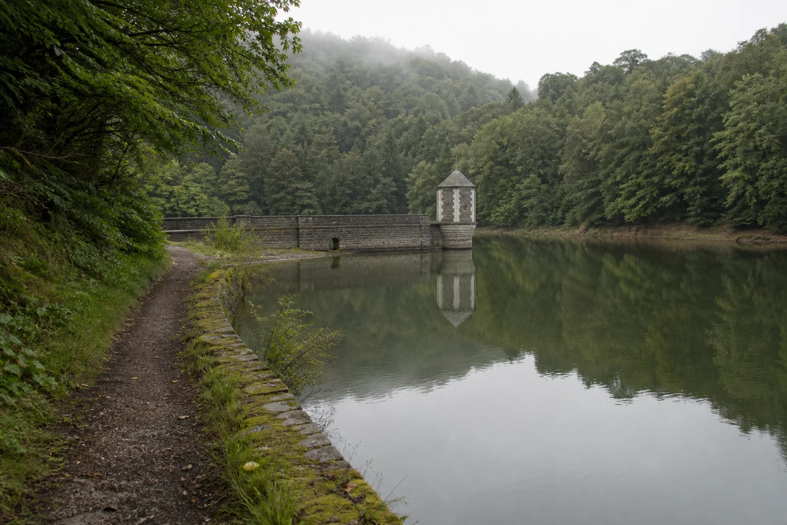Waldweg an der Heilenbecketalsperre