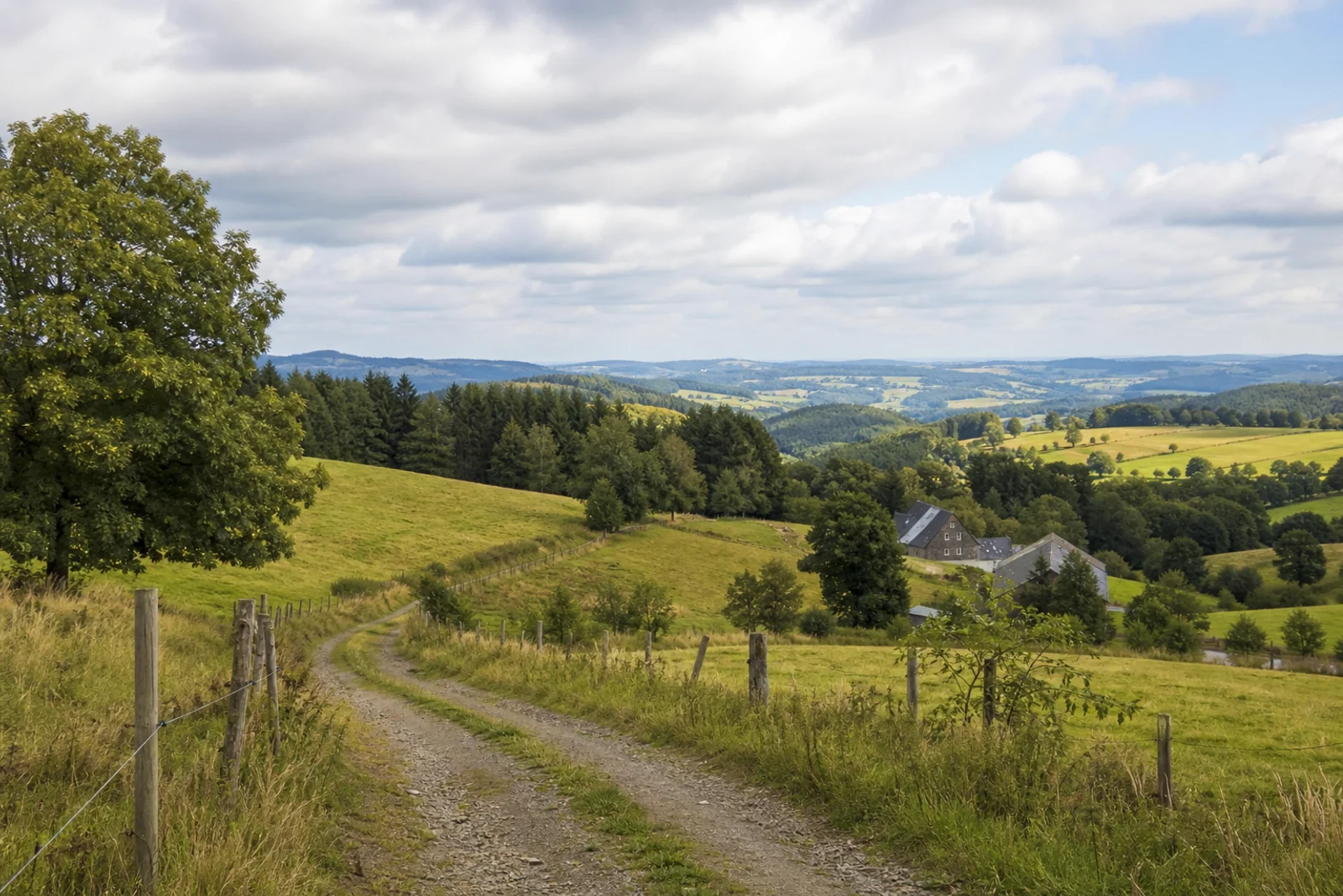 Offene Hochfläche bei Zurstraße