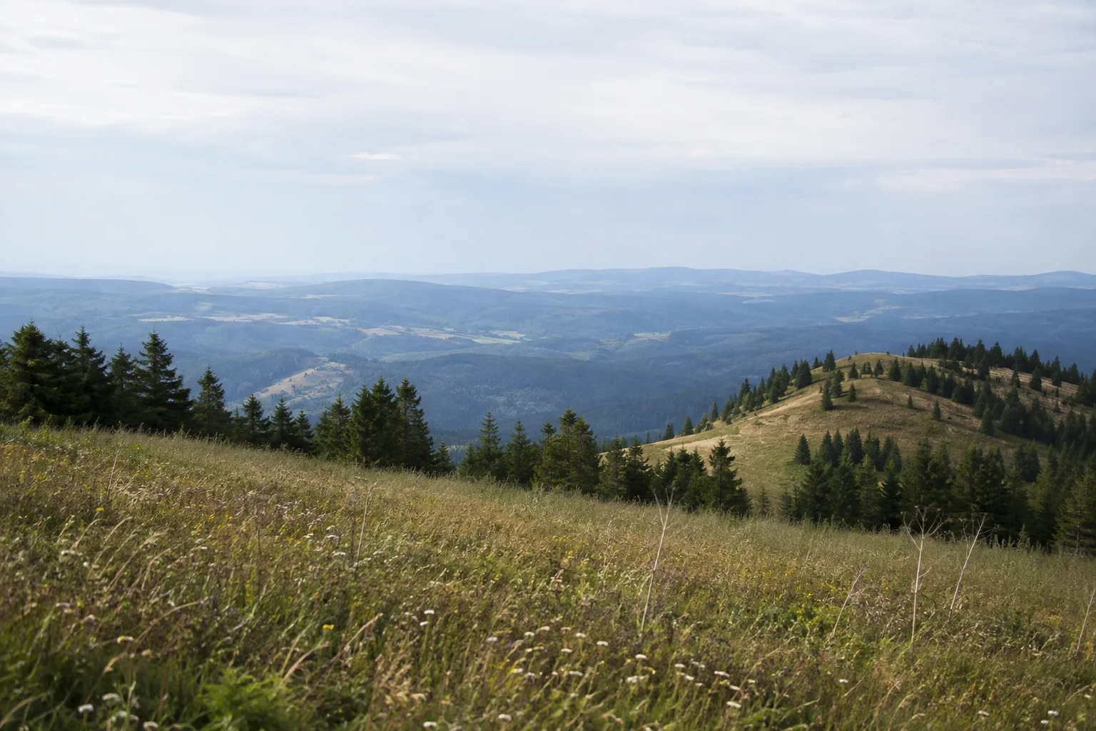 Roßberg: sanfte Wiesenrücken mit weitem Blick über die Hochfläche