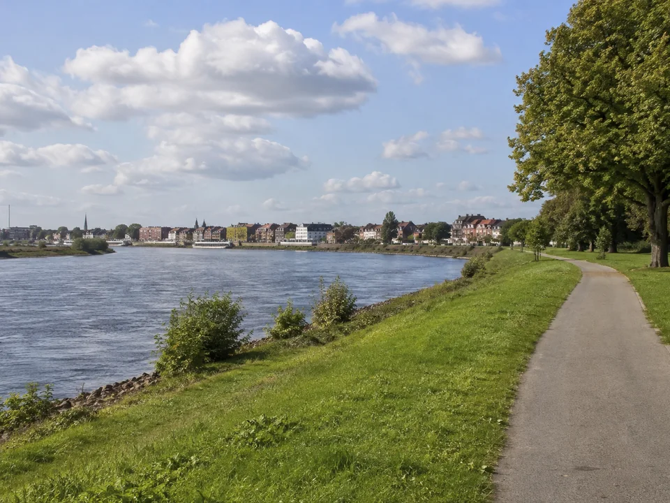 Stadtwerder an der Weser: Breiter Weserfluss in der Stadt Bremen, öffentlicher Uferweg mit Wiesen und Weiden, entfernt niedrige Backstein-Stadtbebauung, flacher Horizont