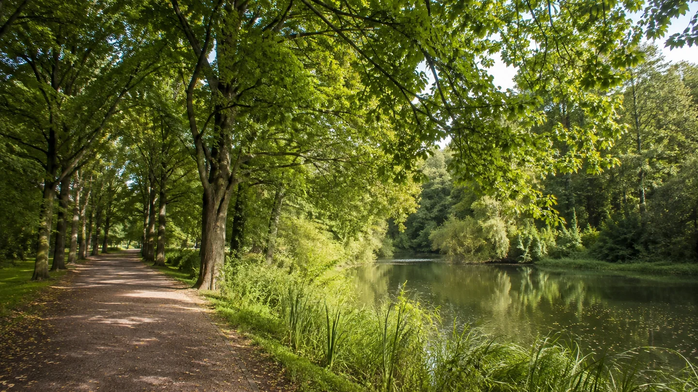 Bremerhaven: Speckenbüttel: Breiter Spazierweg zwischen hohen Eichen und Buchen, ruhiger Parkteich mit natürlichen grünen Ufern