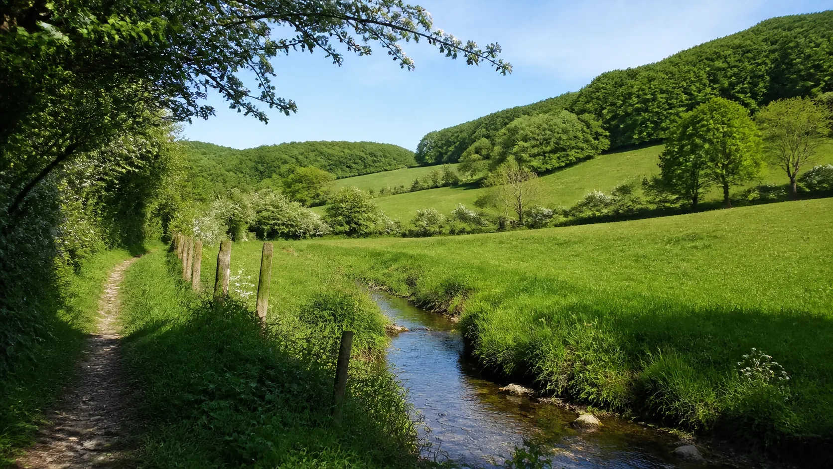 Hecken- und Bachlandschaft bei Brenkhausen