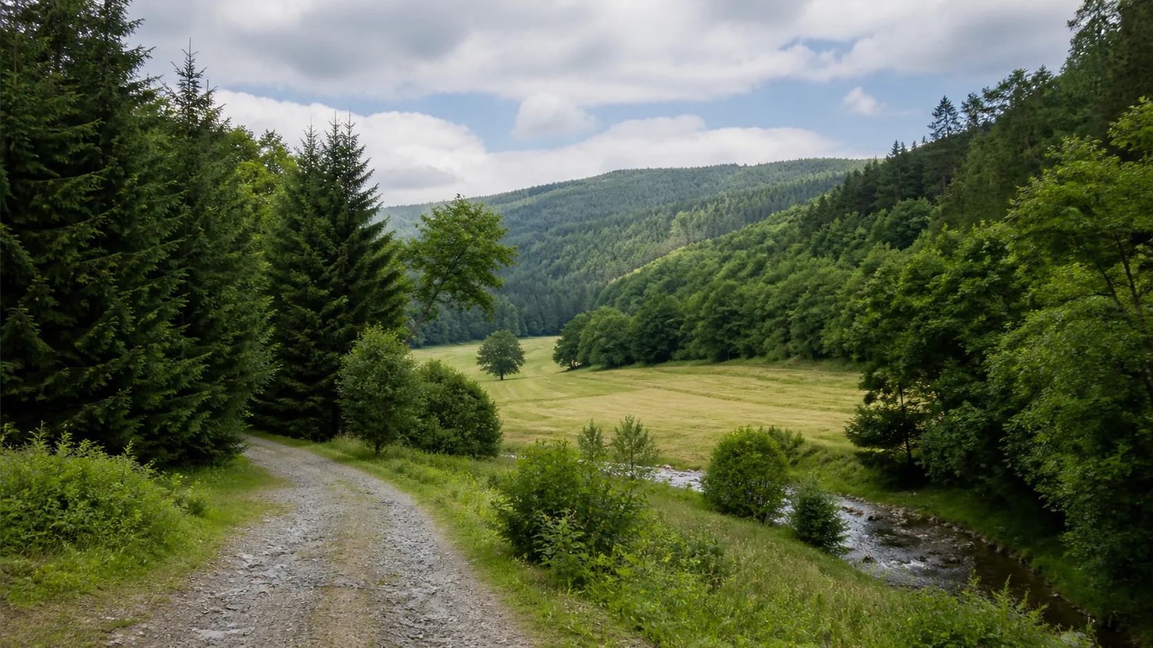 Fachwerk und Wiesen am Wildenberg