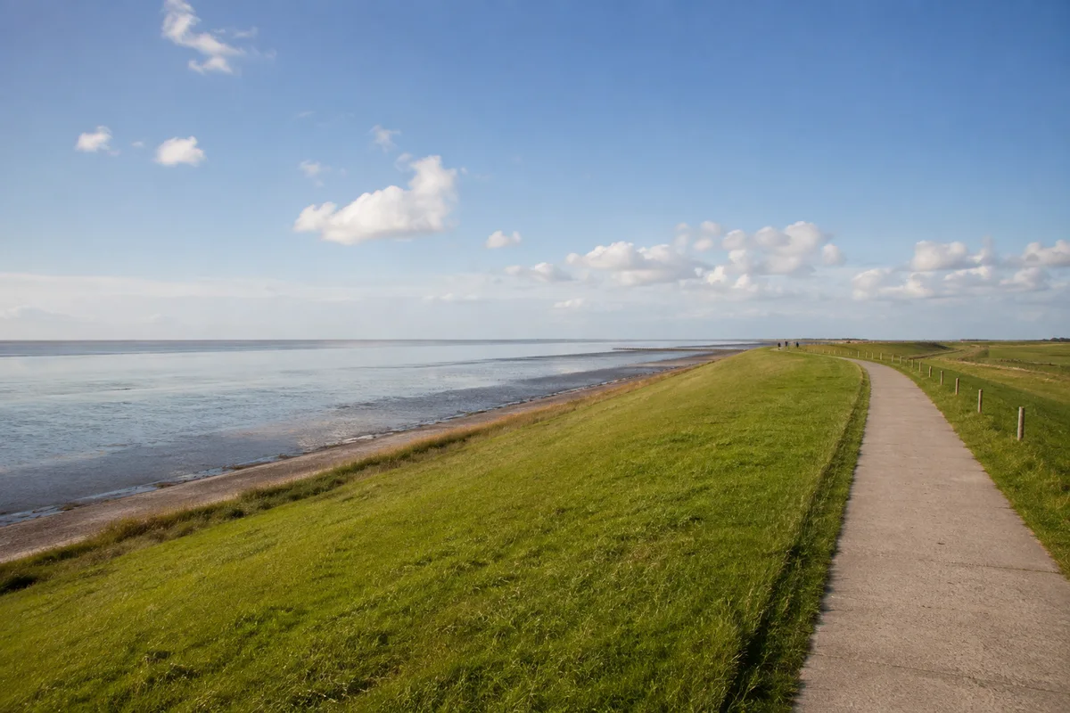 Büsum: Büsum – Museum am Meer: Büsumer Küstendeich: Breiter grüner Seedeich mit befestigtem Weg und flachem Nordseehorizont