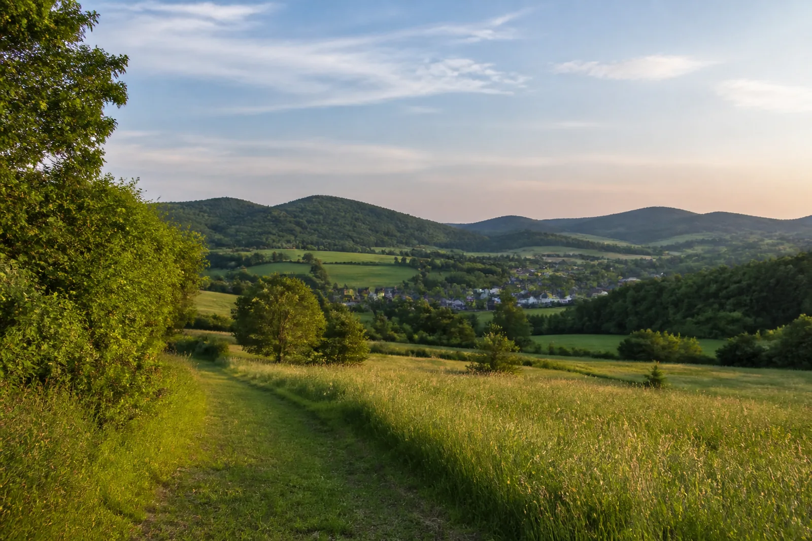 Wiesenweg mit Blick in den Hickengrund