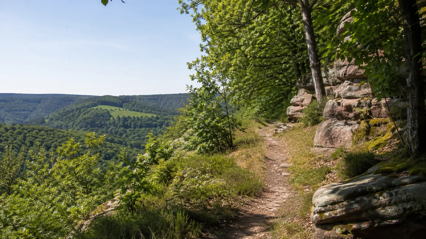 Burgen- und Schlösserwanderweg Haßberge: Zeil Marktplatz: Höhenweg bei Altenstein: Schmaler öffentlicher Waldhöhenweg bei Altenstein in den Haßbergen mit Sandstein am Wegrand und kurzem Blick über bewaldete Hügel, keine erfundene Burg