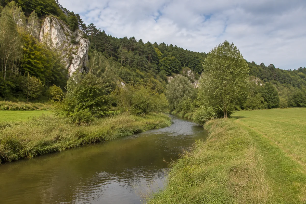 Vilstal bei Dietldorf mit schmalem Fluss, grünen Weiden und hellen Kalkhängen mit Kiefern und Laubbäumen.