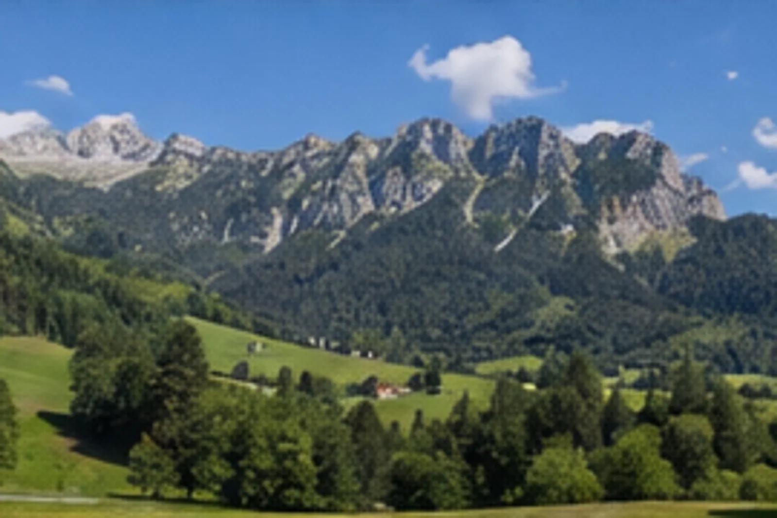 Ruhpoldinger Berge: Waldhänge und offene Almen über dem Tal