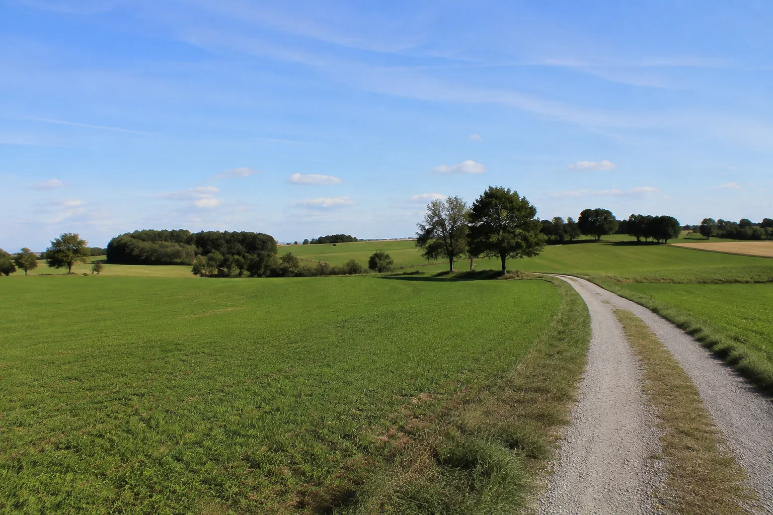 Hart bei Chieming: offene Felder und Wiesen auf niedrigen Hügeln mit Laubbaumgruppen