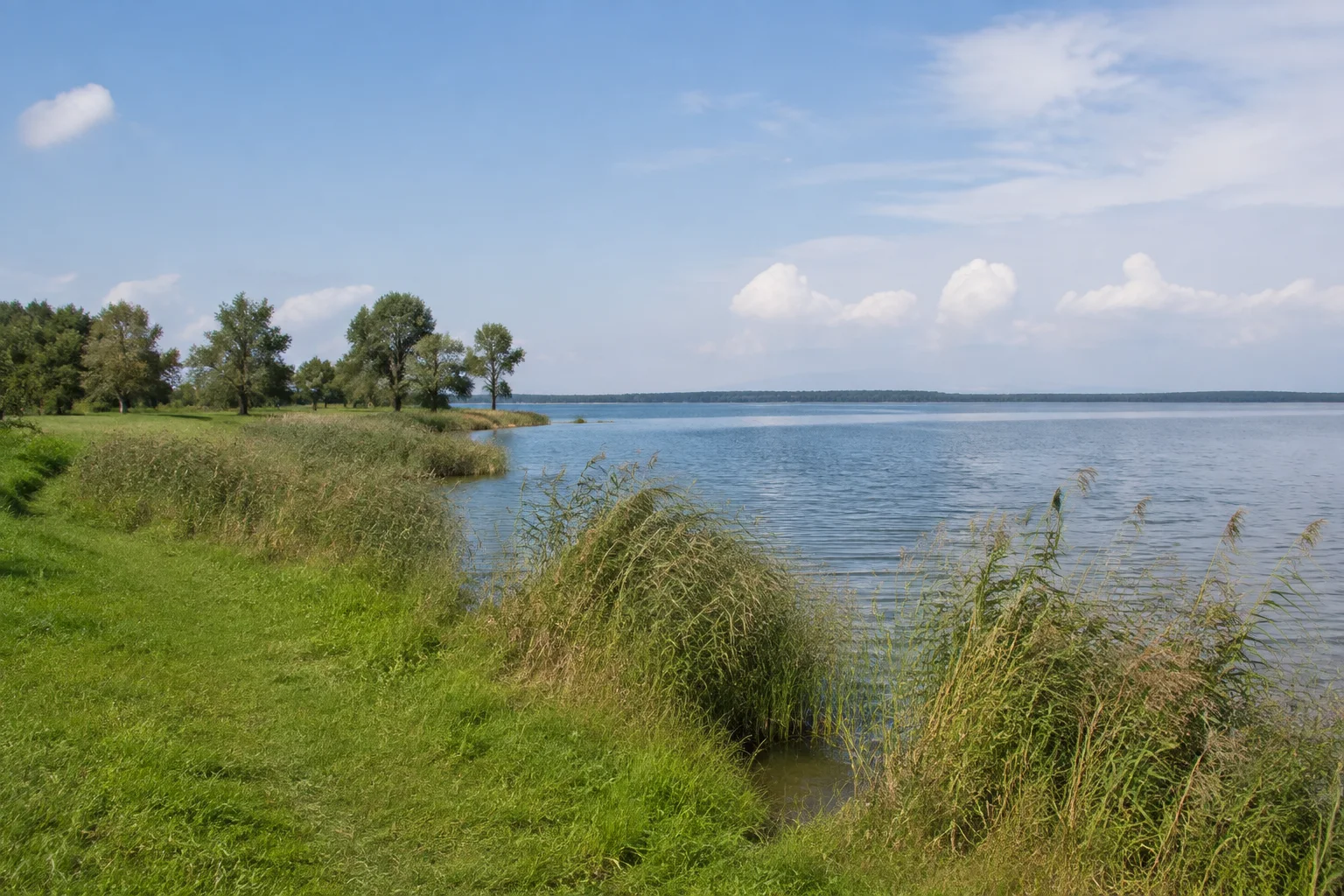 Chiemsee-Westufer: sanfte Wiesen mit Schilf und weitem Wasserblick
