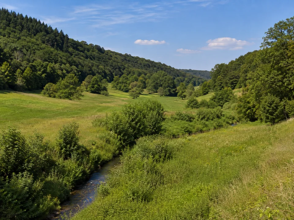 Motschental bei Rögen: Grünes kleines Tal bei Rögen am östlichen Coburger Stadtrand mit Wiesen, Bachgehölzen und sanften bewaldeten Hängen
