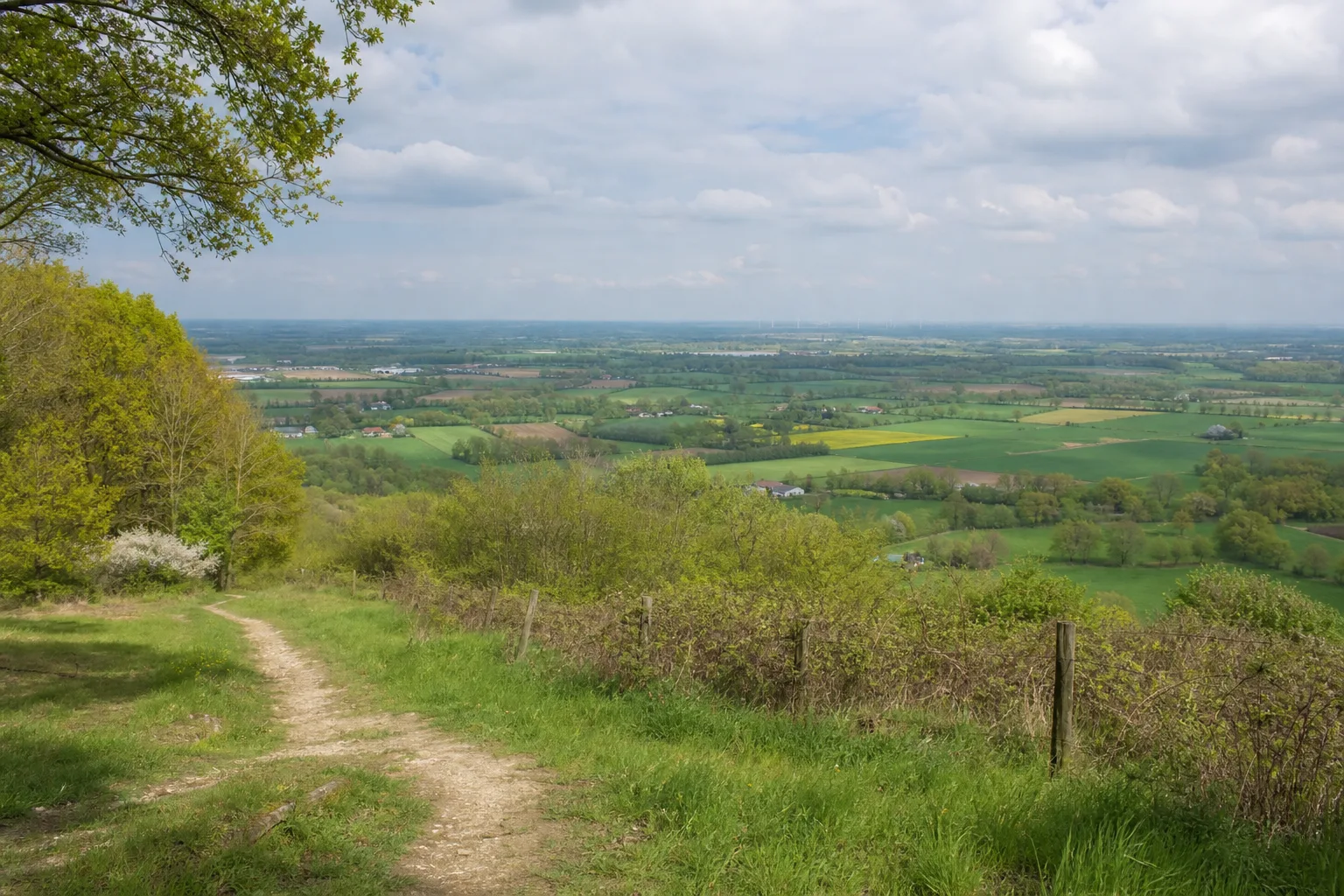 Coesfeld: Blick vom Coesfelder Berg über die Parklandschaft