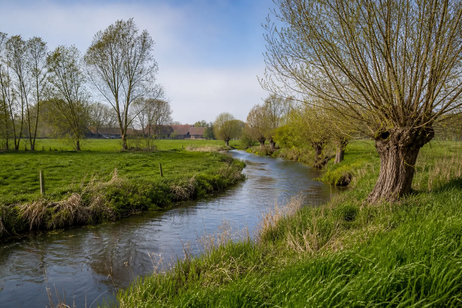 Wiesenweg an der Berkel bei Goxel