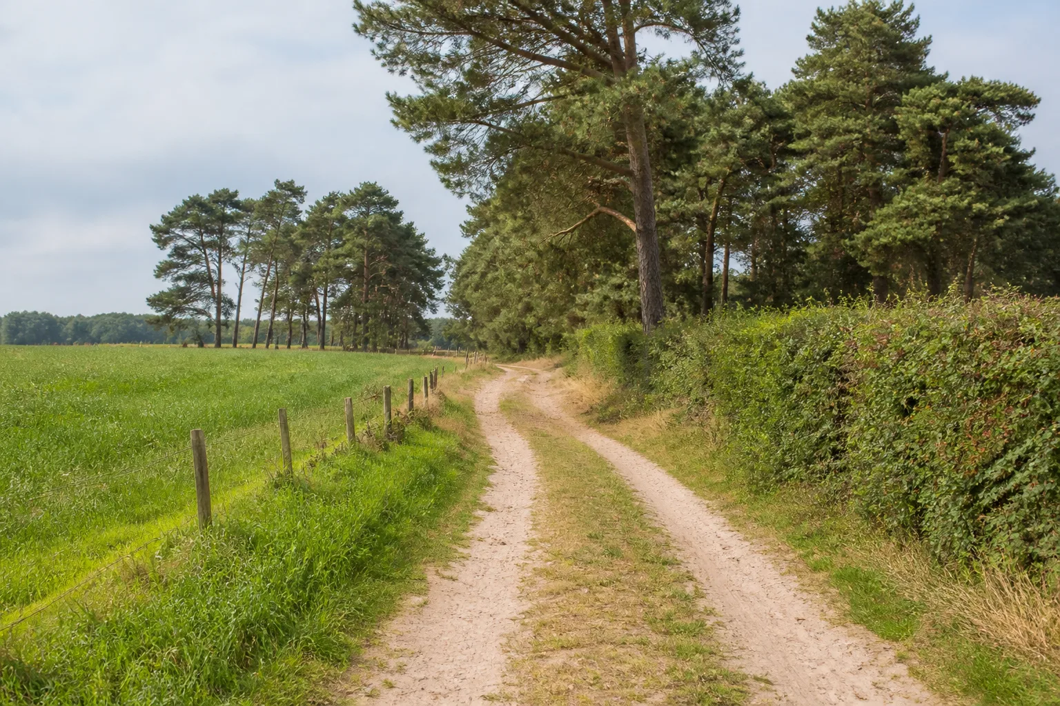 Feld- und Waldweg in der Coesfelder Heide