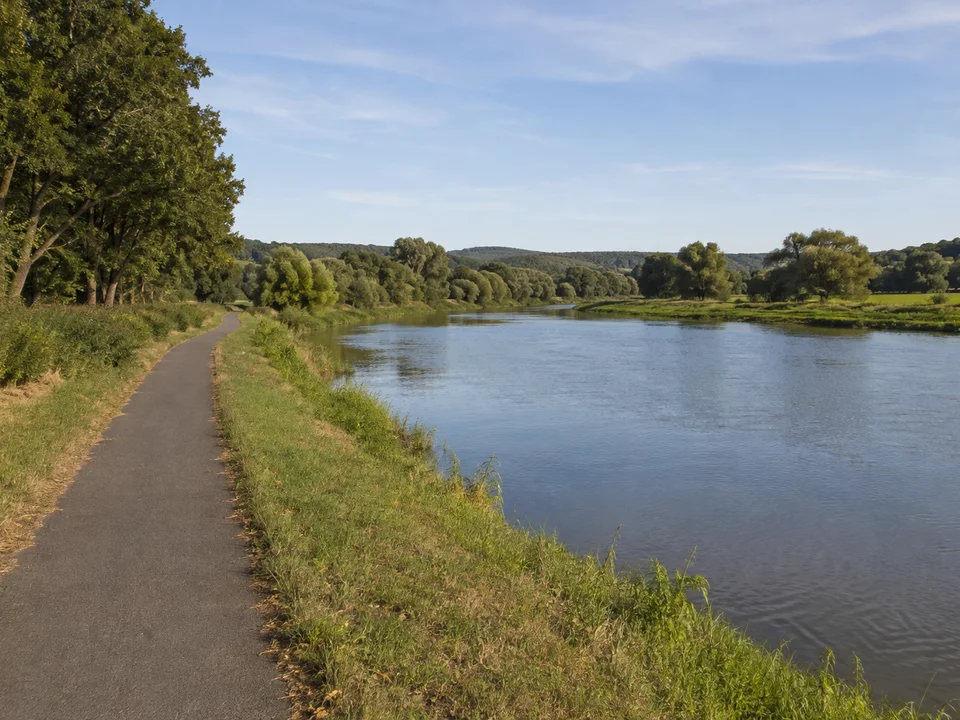 Kötitzer Elbaue: flache Elbwiese mit Weiden, breitem Fluss und schmalem befestigtem Uferweg