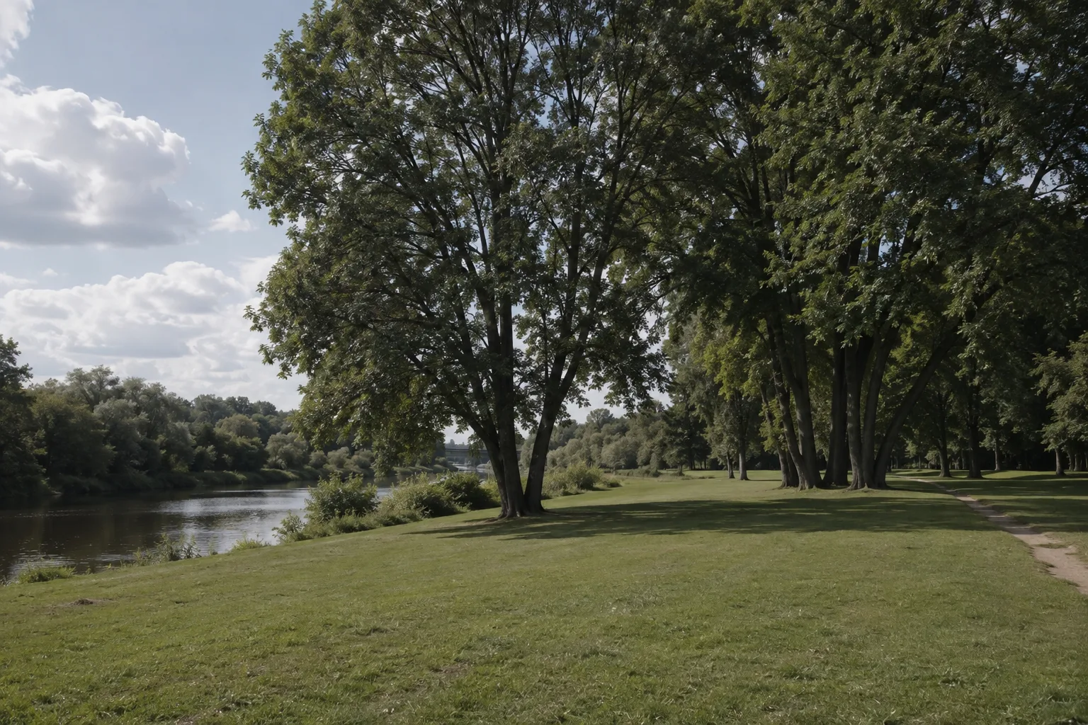 Spreeauenpark: Offene Grünräume und Baumgruppen nahe dem Fluss
