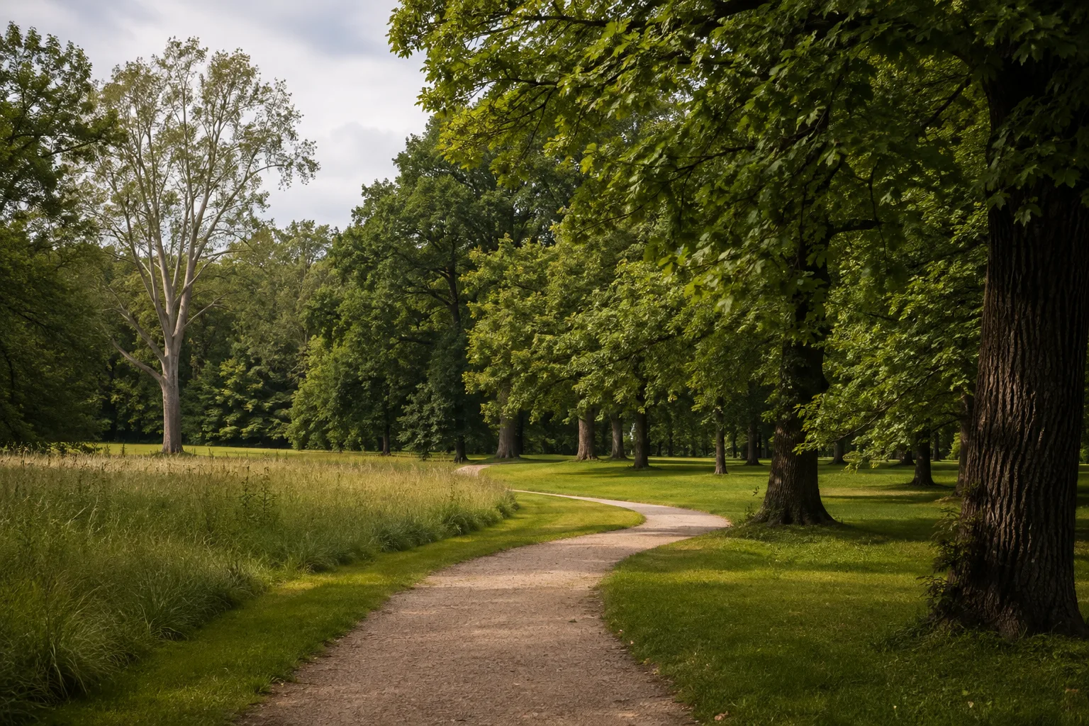 Cottbus: Cottbus: Branitzer Parkrand: Geschwungene Parkwege, alte Laubbäume und gepflegte Wiesen