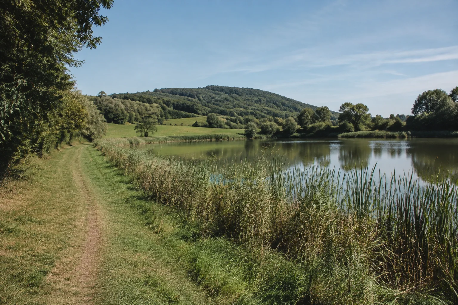 Münsterseen bei Creglingen: kleiner See mit Schilf und Wiesen, normaler landwärtiger Weg, niedrige bewaldete Hügel.