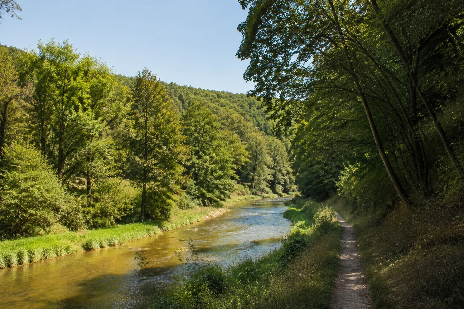 Creglingen: Creglingen: Taubertal bei Archshofen: kleiner Fluss in grüner Aue, niedrige steile Laubwaldhänge und schmaler Weg am Talrand.