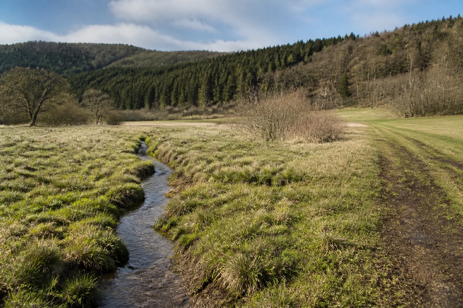 Quellbach bei Schmidtheim