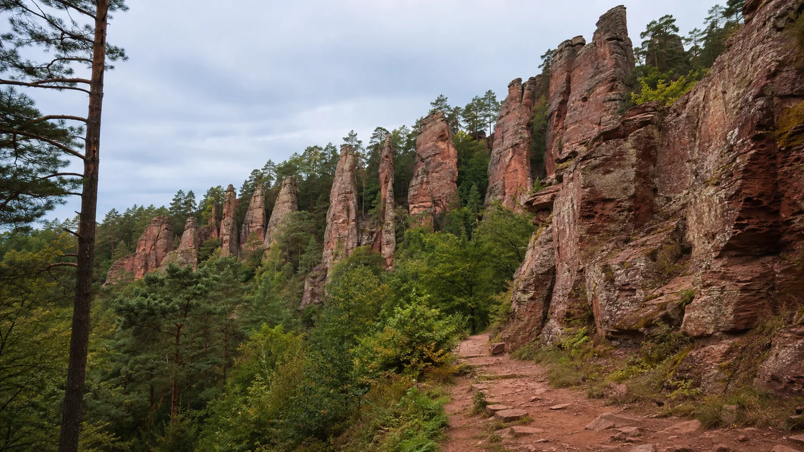 Felsenland-Wald: schattiger Mischwaldpfad