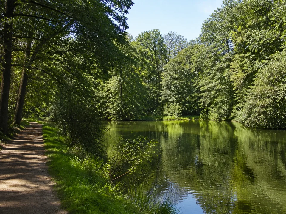Steinbrücker Teich: Kleiner stiller Teich mit grünen baumbestandenen Ufern und einem ebenen Parkweg ohne markante Gebäude