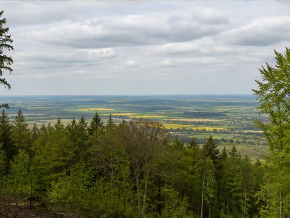 Norddeister: Waldhang über dem Calenberger Land