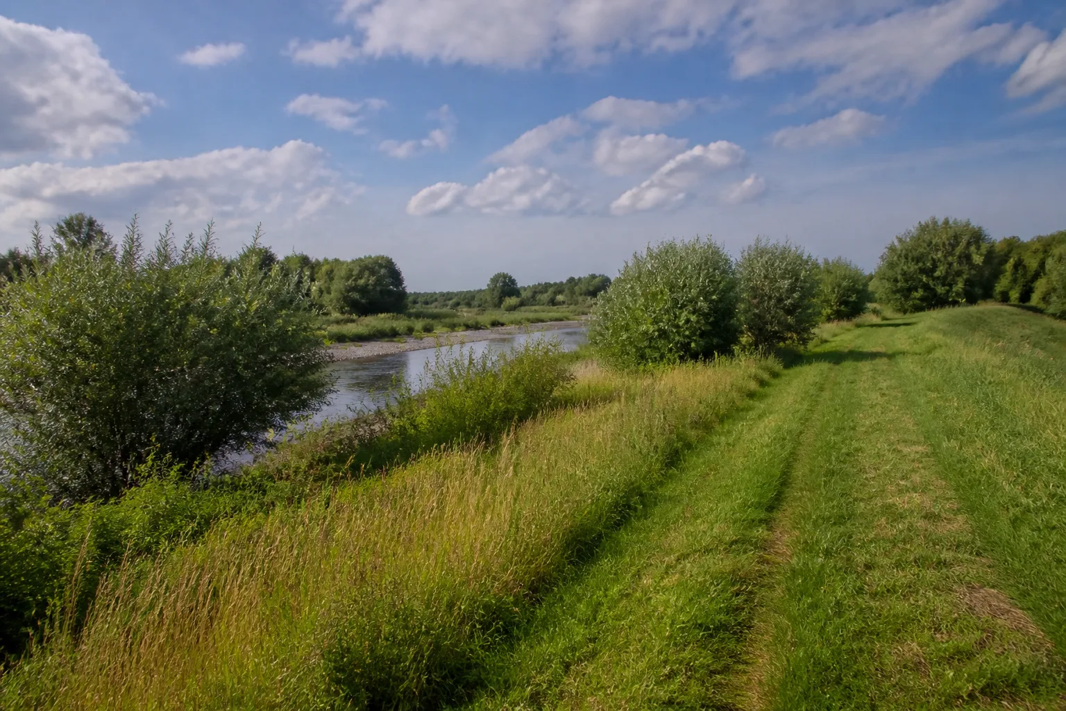 Lippeaue bei Anreppen