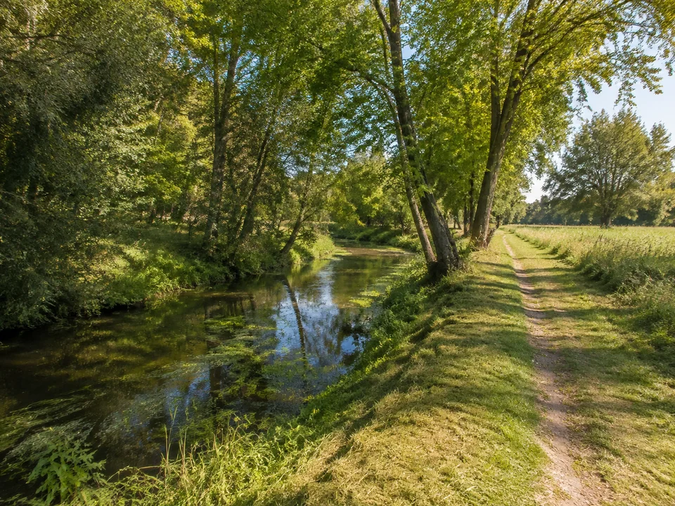 Rossel bei Roßlau: Kleiner Wasserlauf zwischen Uferbäumen und Wiesen mit niedrigem ebenem Weg