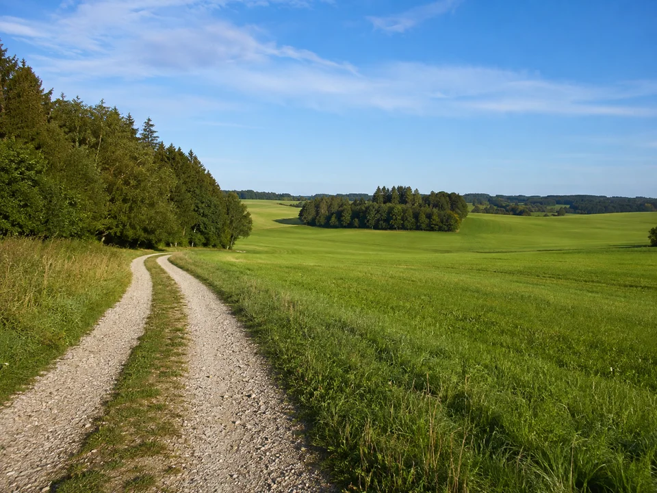Dettenschwang bei Dießen: ländliche Moränenlandschaft mit grünen Wiesen, Waldinseln und geschottertem Feldweg