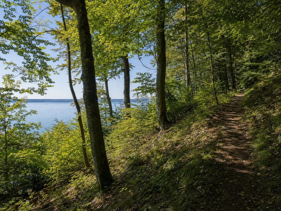 Riederau am Ammersee: schattiger Laubwald über dem Westufer, sanfte Hangwege und kleine Wasserblicke