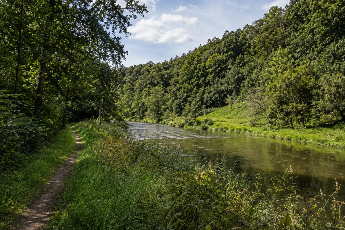 Zschopautal bei Limmritz: engeres grünes Flusstal unter bewaldeten Hängen und naturbelassenem Ufer