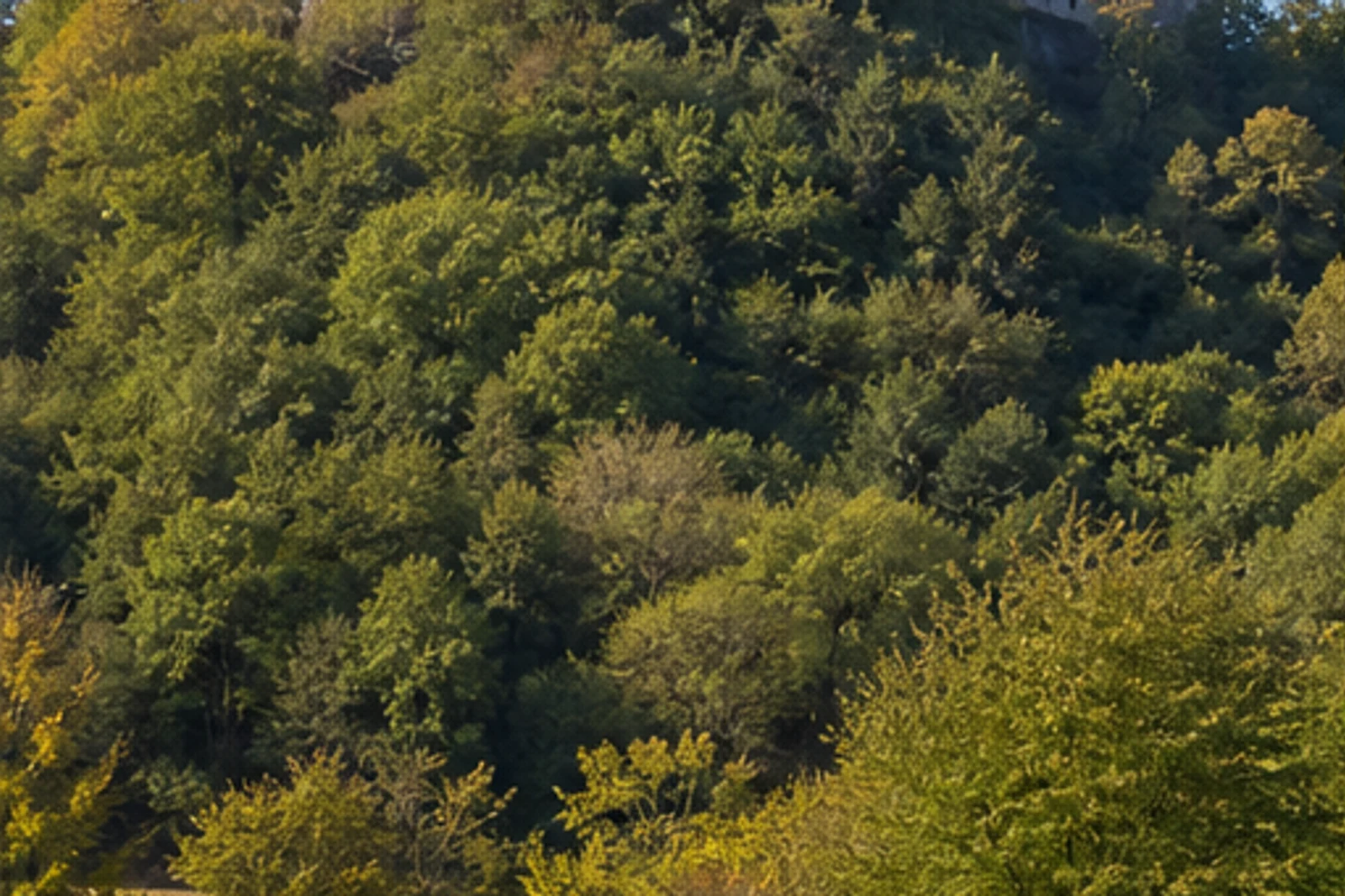 Dörentrup: Burg Sternberg über den Waldhöhen von Dörentrup